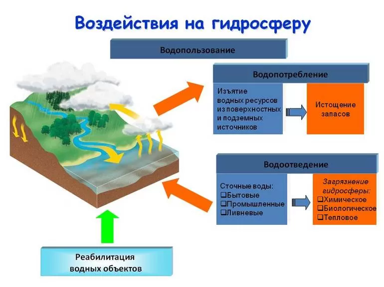 Доклад по теме Загрязнение вод суши